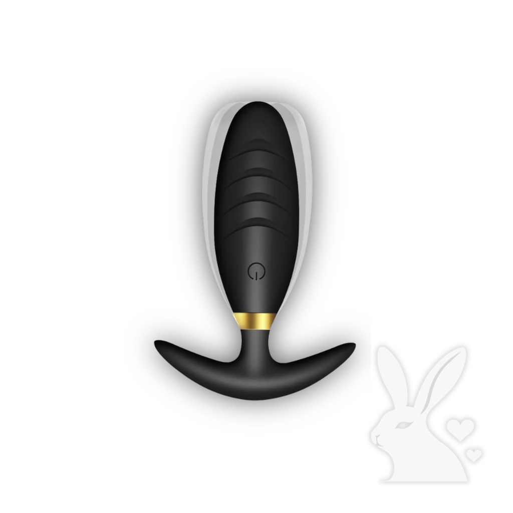 Analinis kištukas su prostatos masažu – nuotolinio valdymo vibratorius