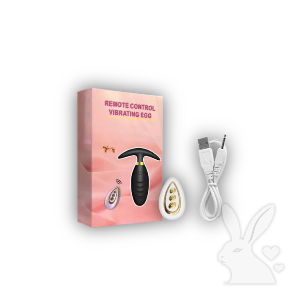 Analinis kištukas su prostatos masažu – nuotolinio valdymo vibratorius